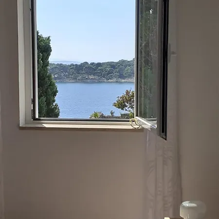 Apartman Apartments Zlata In The Heart Of The Old Town, Close To The Beach
