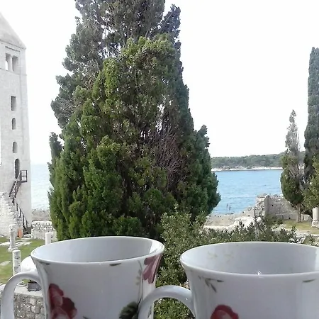 Zlata Apartment *