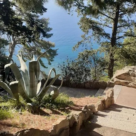 Zlata In The Heart Of The Old Town, Close To The