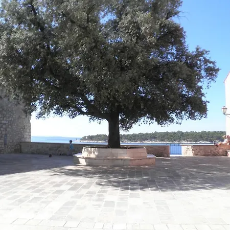 Zlata In The Heart Of The Old Town, Close To The *